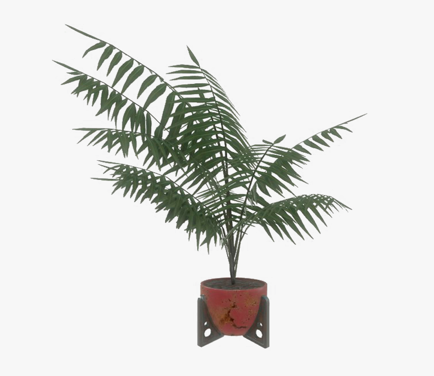 Fo4 Red Potted Plant - Houseplant, HD Png Download