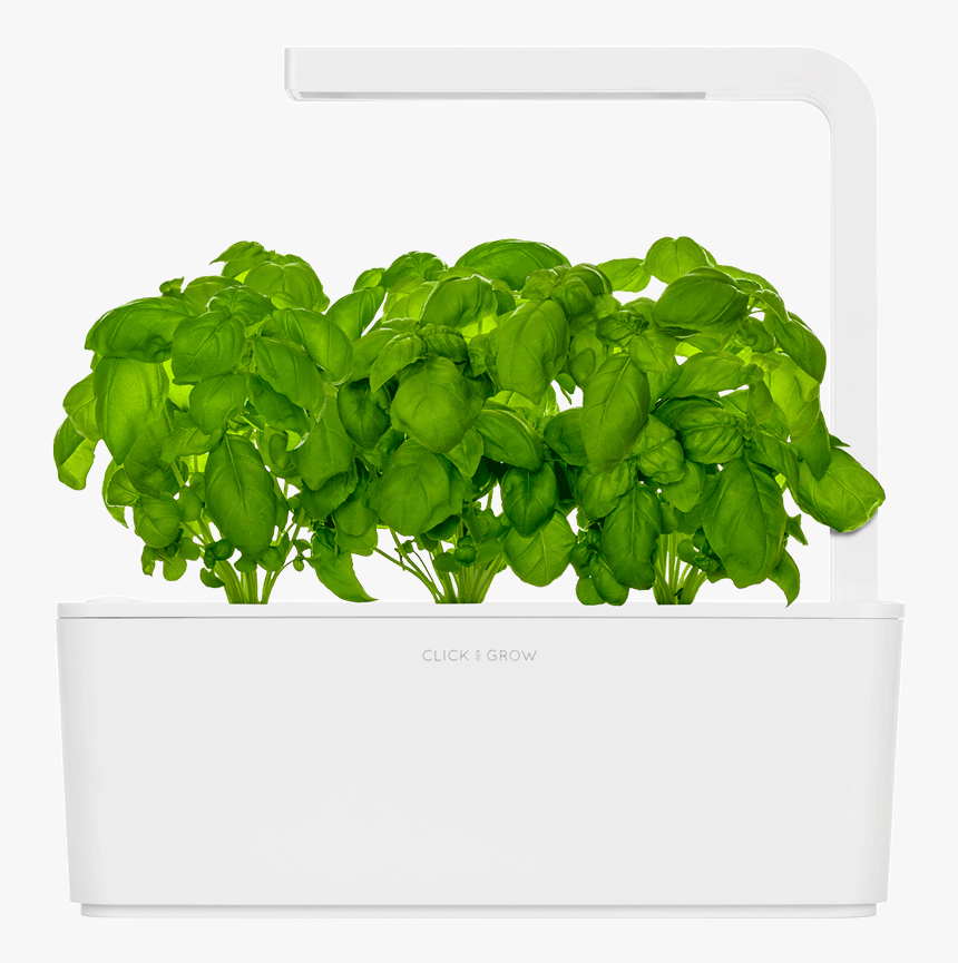 Transparent Outdoor Potted Plants Png - Click And Grow Smart Garden 3, Png Download