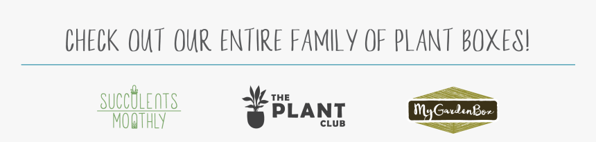 Houseplant, HD Png Download