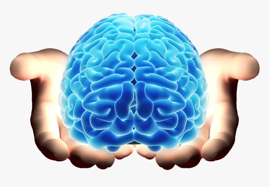 Brain In Hand, HD Png Download