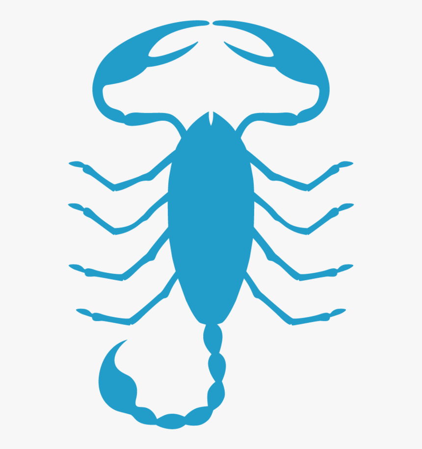 Scorpio - Illustration, HD Png Download