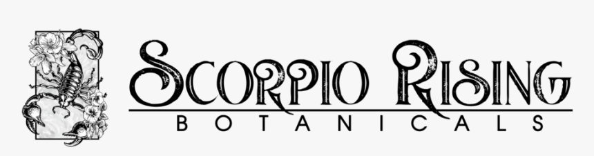 Landscape-logo - Calligraphy, HD Png Download