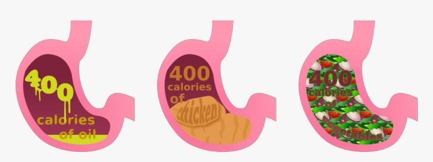 Satiety Nutritioneducationstore Com Calorie - Calories Clipart, HD Png Download