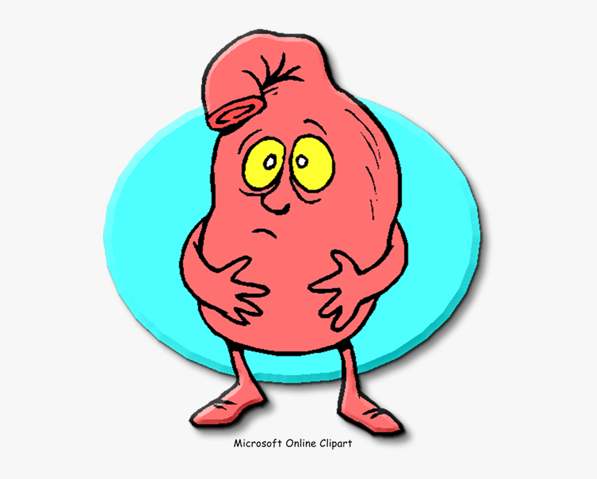 Indigestion Gastric Acid Pneumonia Pathophysiology - Upset Stomach, HD Png Download