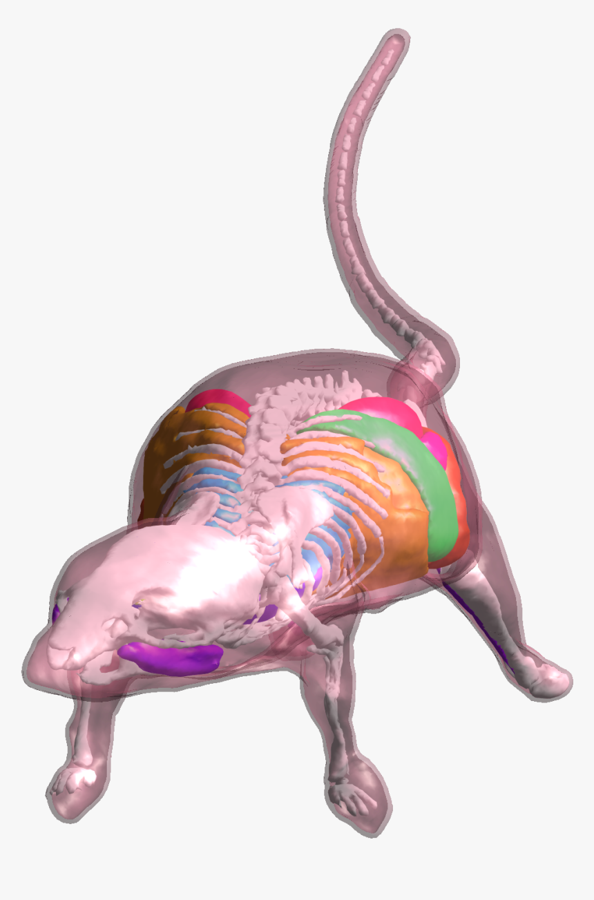 Illustration, HD Png Download