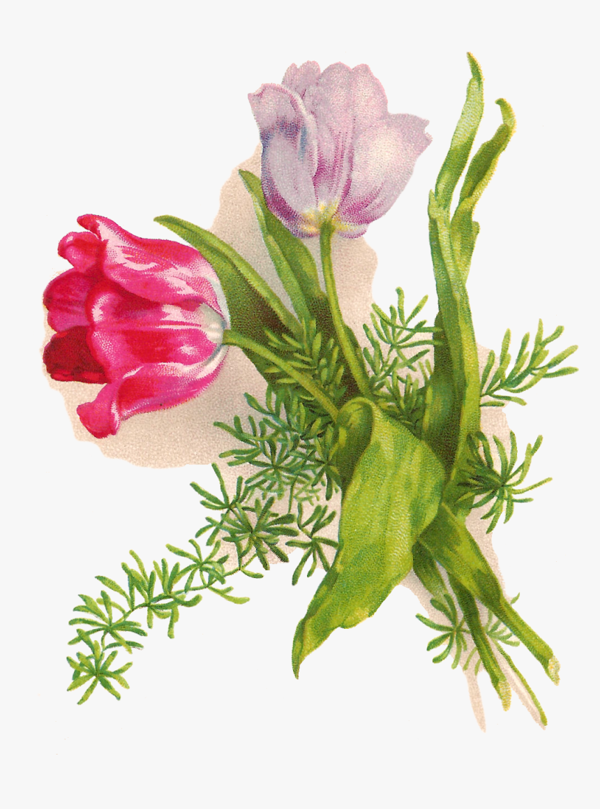 Greeting Flowers Png, Transparent Png