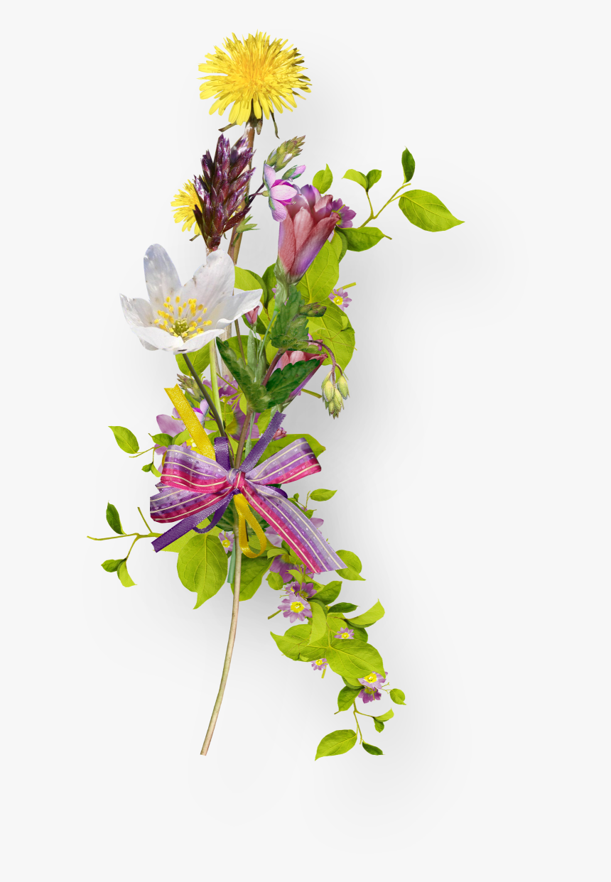 Clip Art, HD Png Download