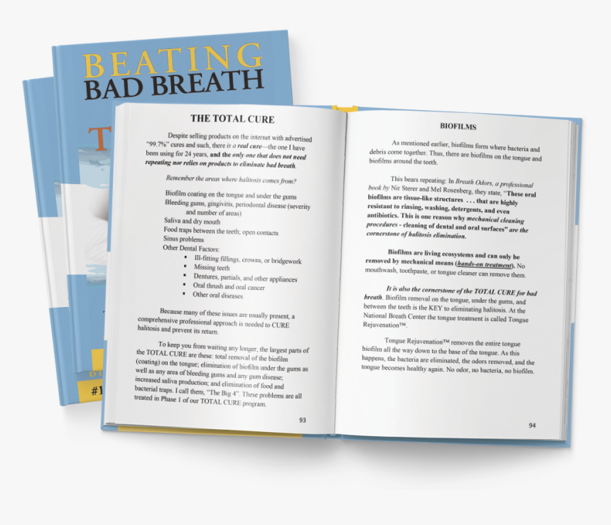 Brochure, HD Png Download