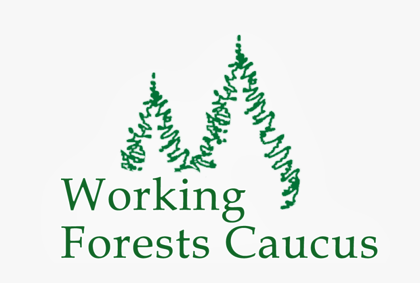 Hooking Crochet Memes, HD Png Download