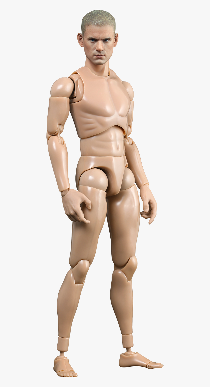 Ttm 18 1 6, HD Png Download