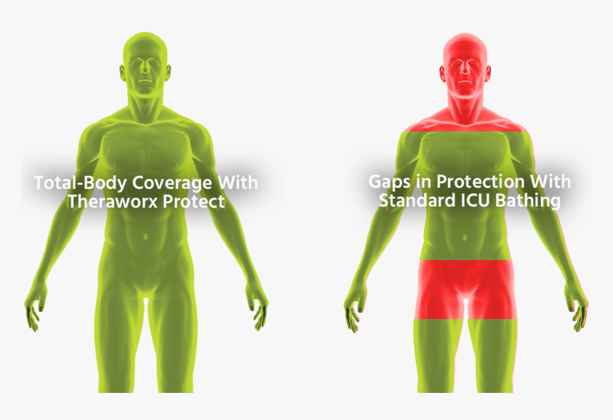 Spandex, HD Png Download