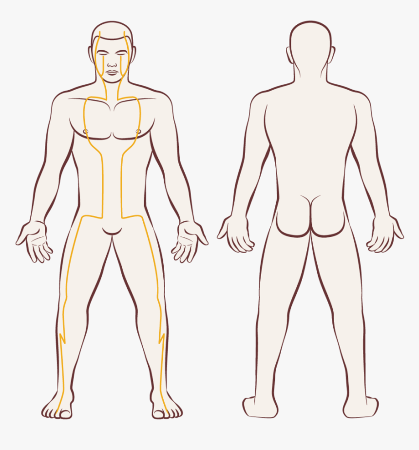 Barechested, HD Png Download
