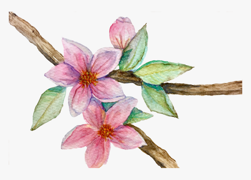 Fineart, HD Png Download