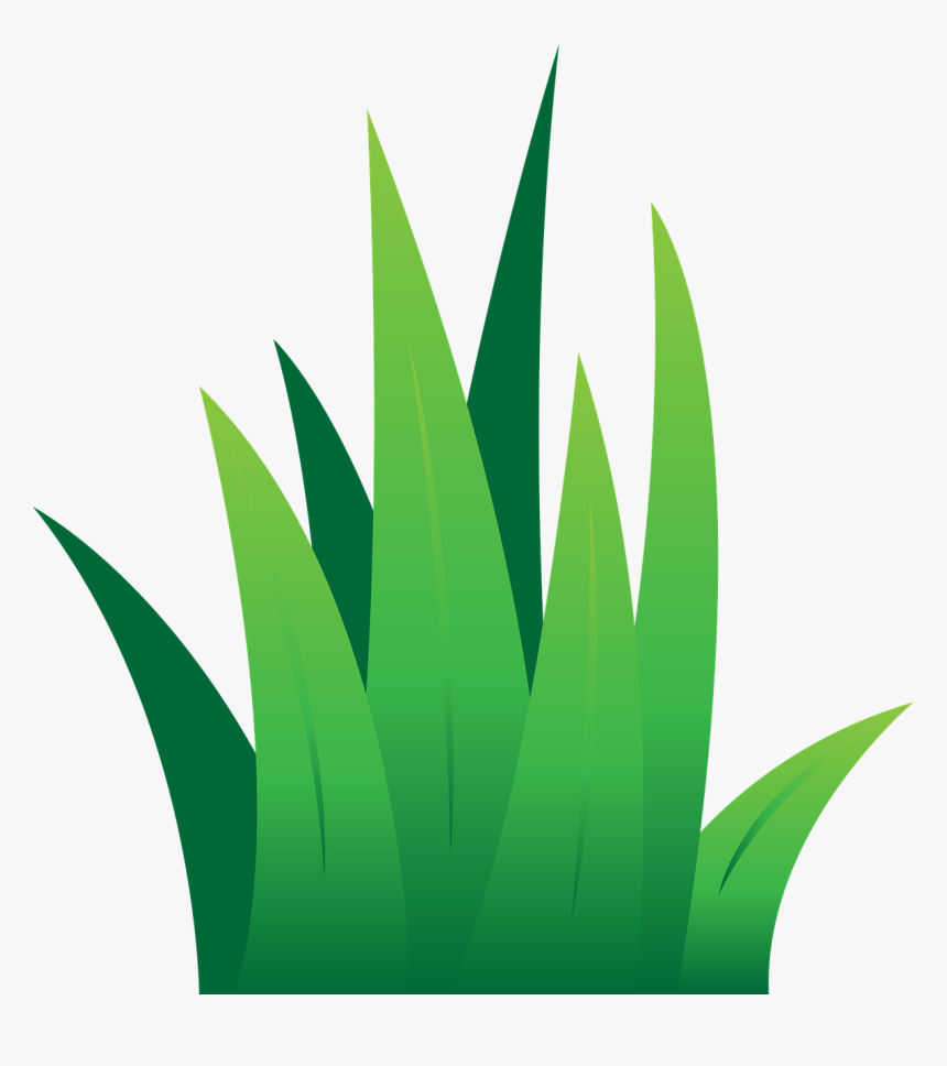 Grass Clipart, HD Png Download , Transparent Png Image - PNGitem