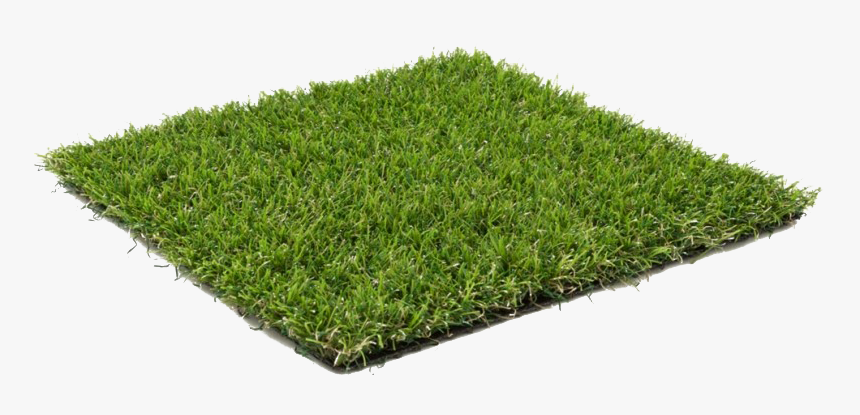 Beach Grass Png Transparent Image - Circle Of Grass Transparent, Png Download