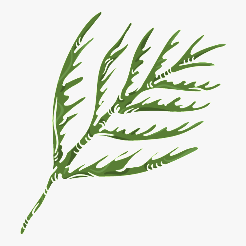 Green Coral Grass Png Transparent - Illustration, Png Download