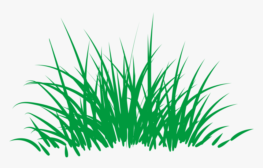 Green Grass - Grass, HD Png Download