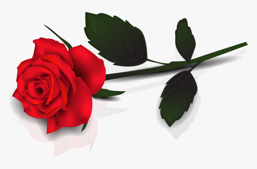 Single Red Rose Transparent Png, Png Download