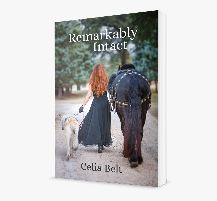 Remarkably Intact 3d - Shetland Pony, HD Png Download