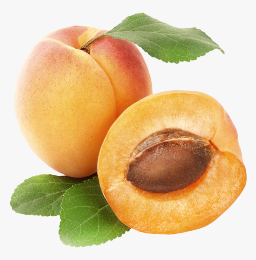 Apricots Png Clipart - Rex Orange County Apricot, Transparent Png