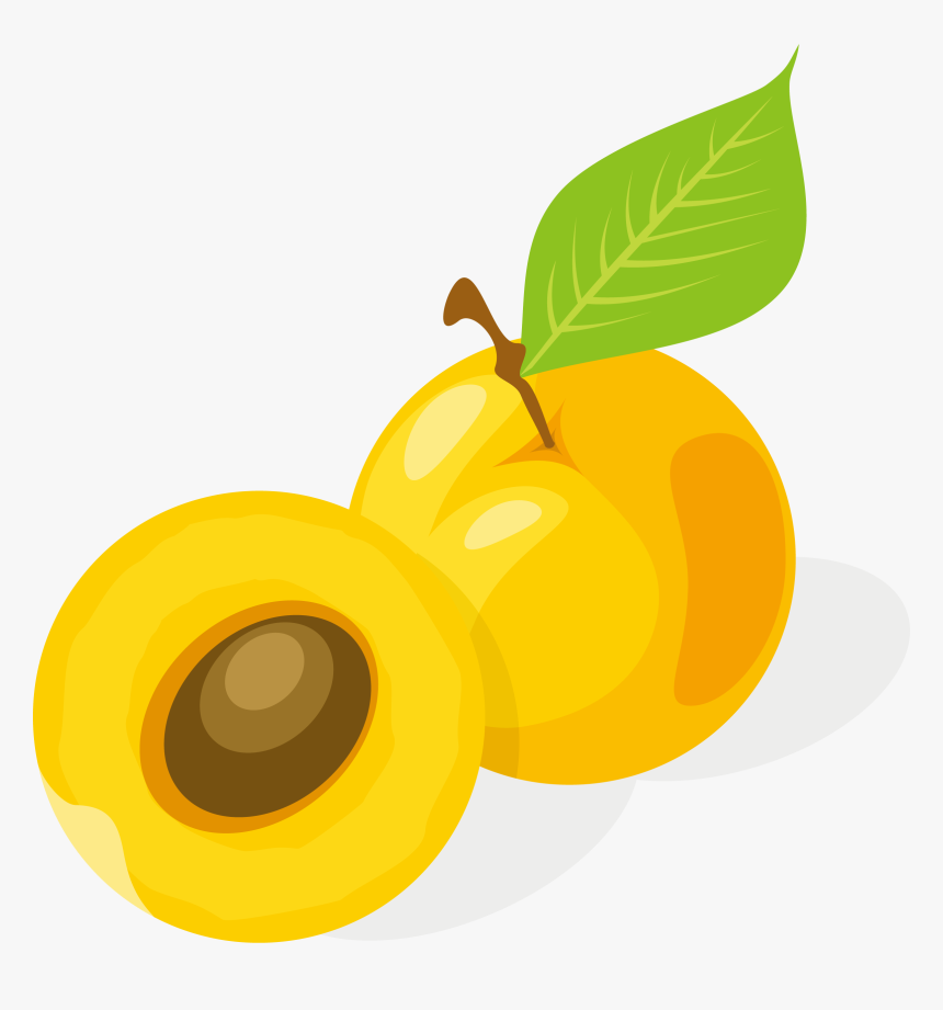 Apricot Drawing Fruit - Apricot Cartoon, HD Png Download