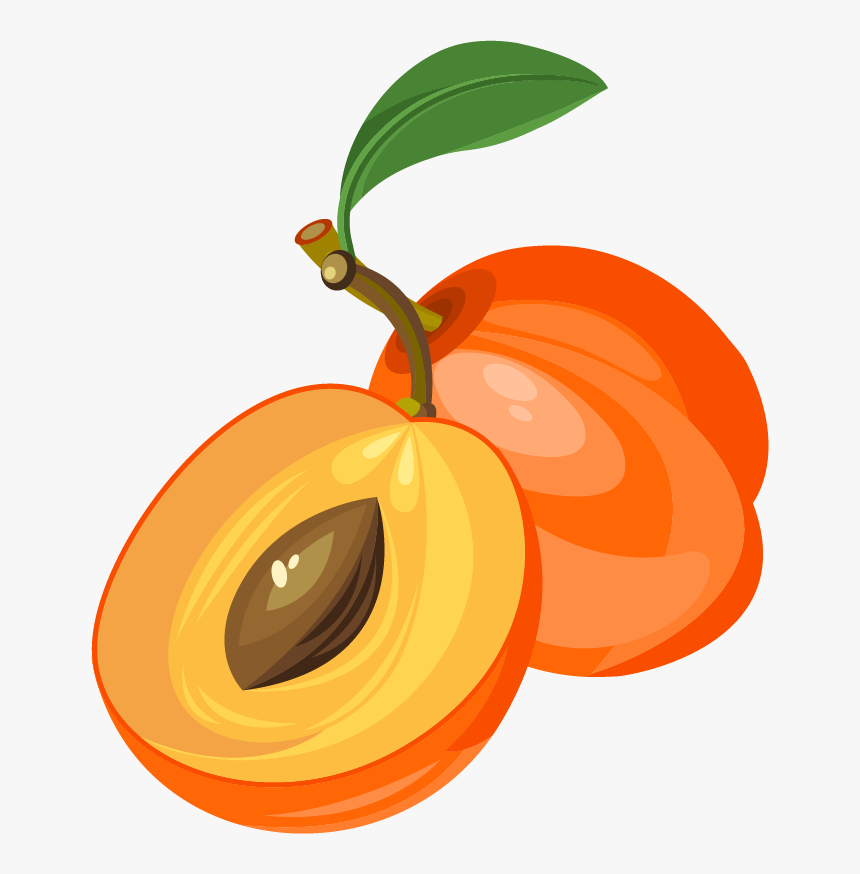 Fruit Clip Art Png, Transparent Png