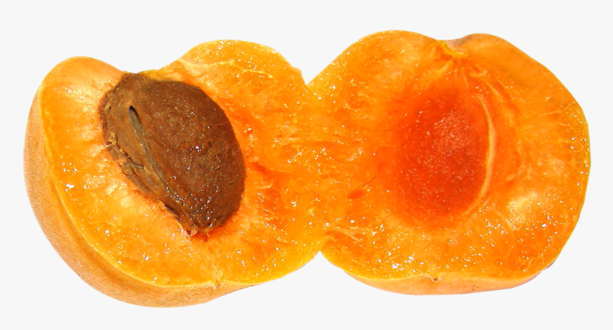 Apricot Slice Png, Transparent Png