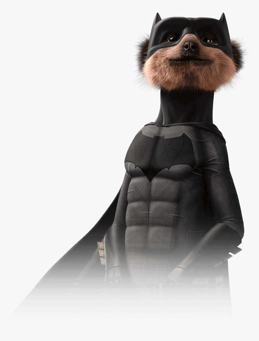 Meerkat Batman , Png Download - Batman Meerkat, Transparent Png