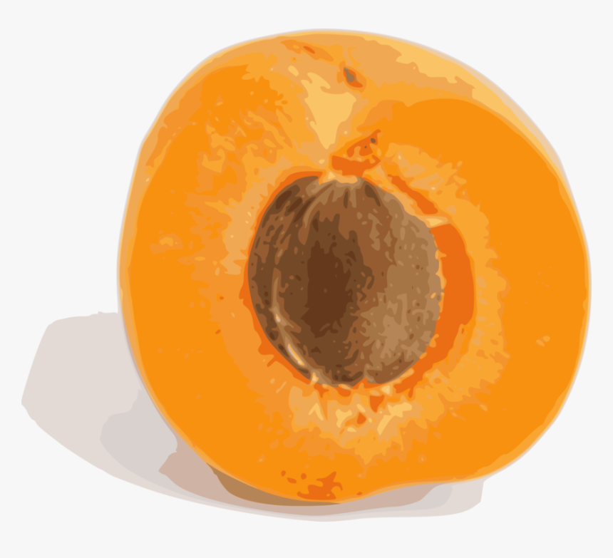 Orange,food,plant - Apricot Fruit, HD Png Download