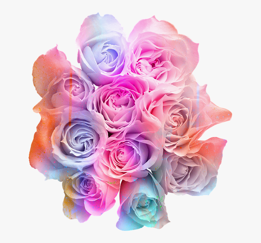 Rose Beautiful Flowers Png, Transparent Png