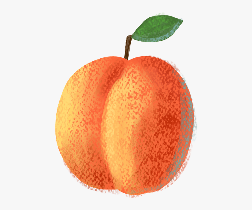 Apple, HD Png Download