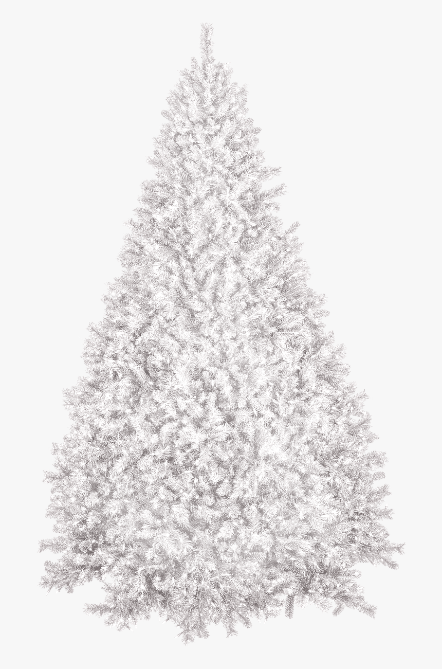 Christmas Tree Winter New Year S Eve Free Photo - White Christmas Tree With Frosted Tips, HD Png Download