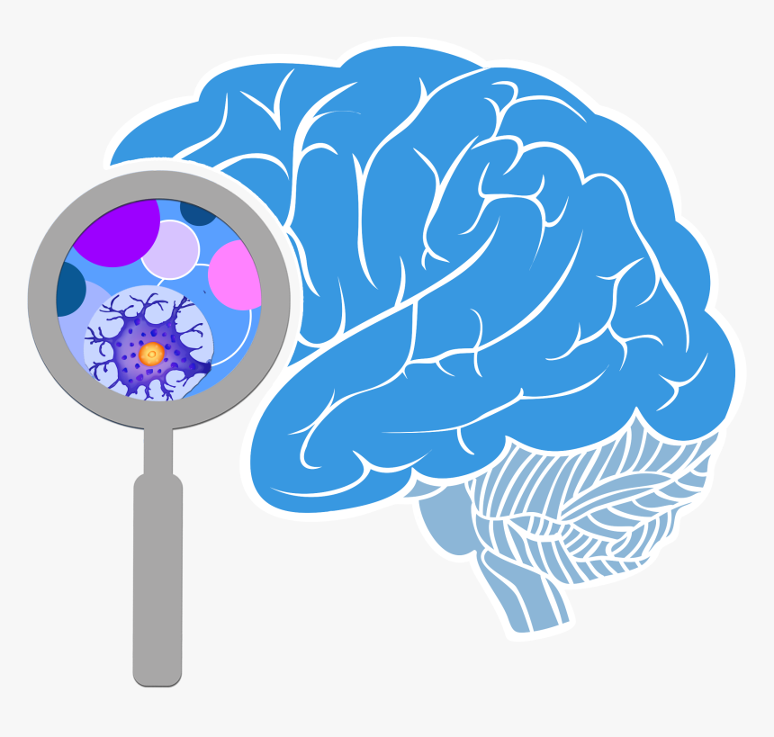 Brain Initiative Investigators Meeting Logo - Png Transparent Brain Png, Png Download