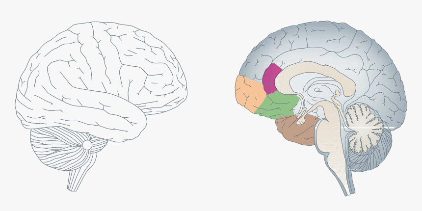 Positive Impacts Of Yoga, HD Png Download