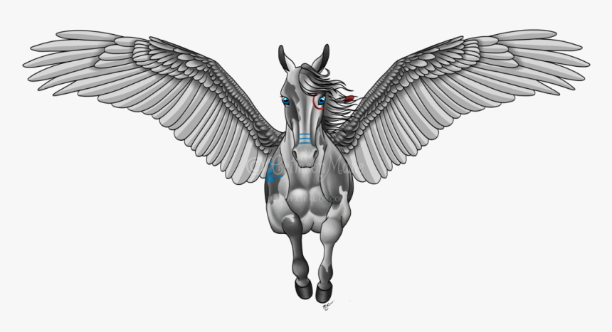 Pegasus Tattoos Design - Pegasus Design, HD Png Download