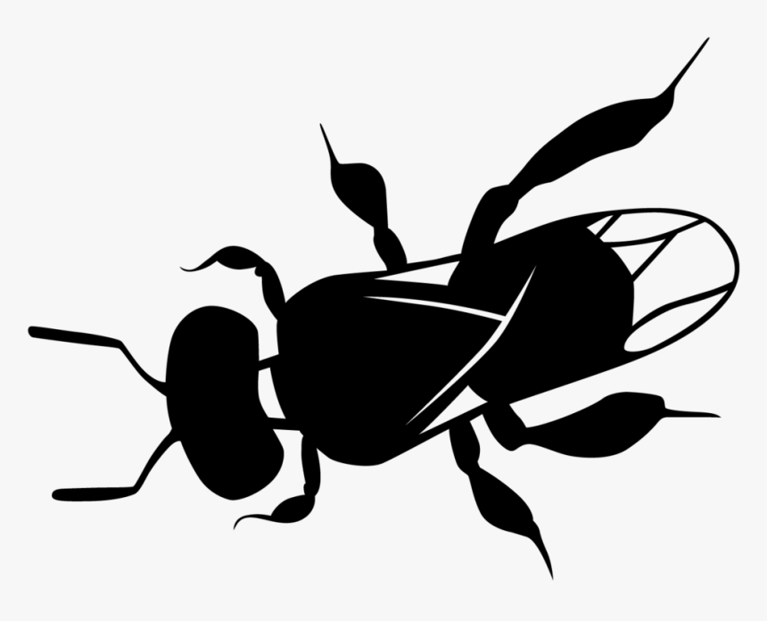 Clipart Bee Path - Australian Native Bee Art, HD Png Download