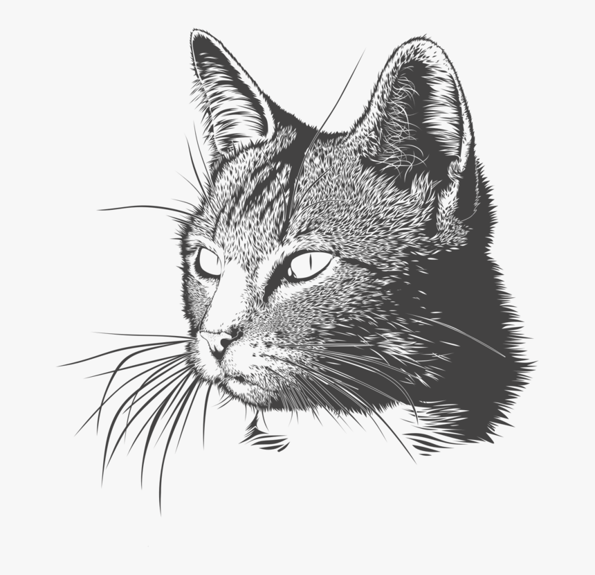 Monochrome Cat - Cat Head Drawing Png, Transparent Png