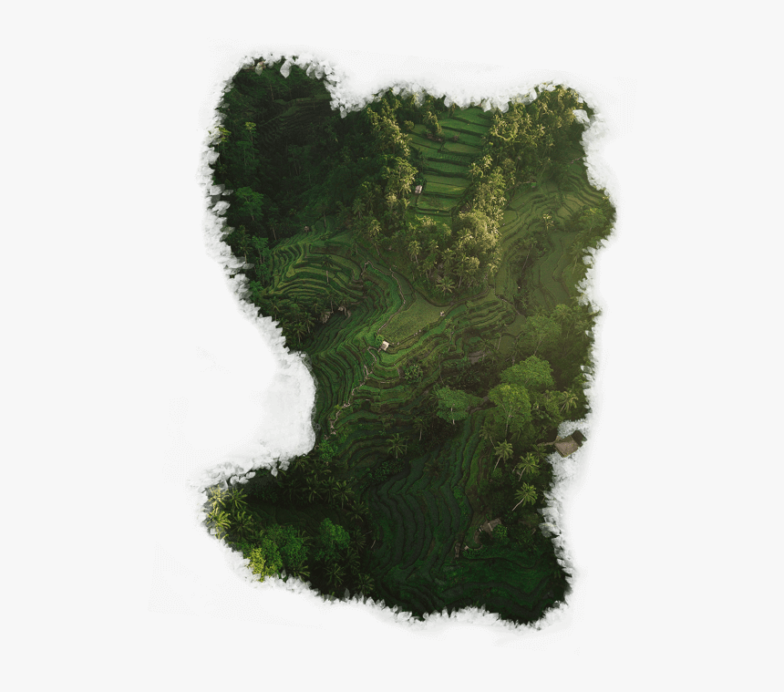 Grass, HD Png Download