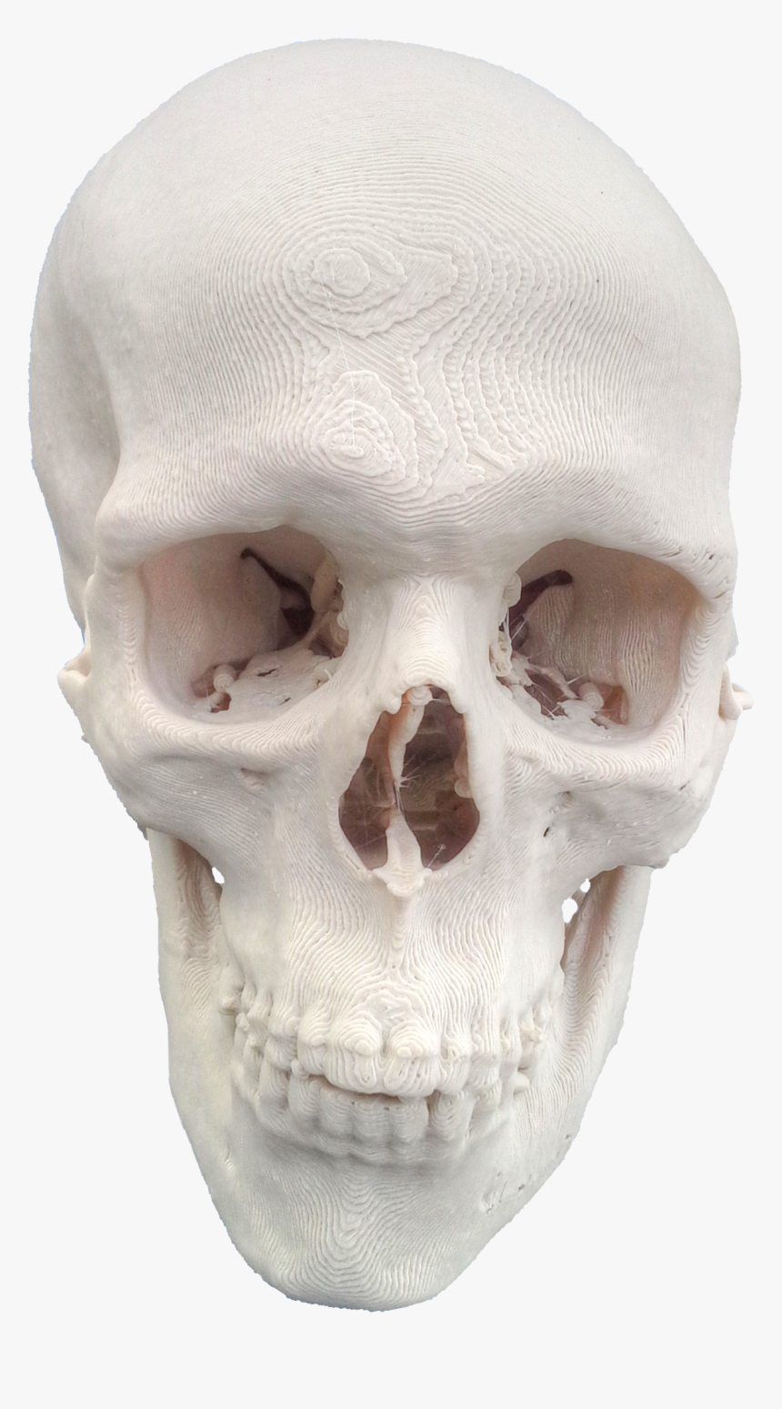 3dprinted Skull 20151124090811 - Skull Copyleft, HD Png Download