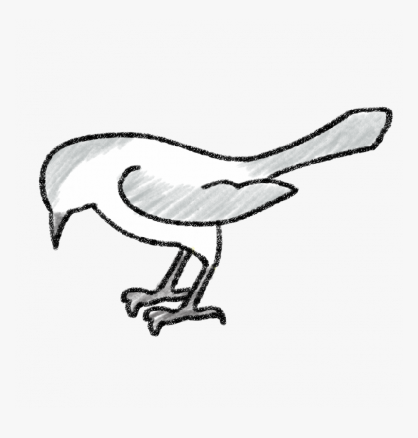 Transparent Mockingjay Clipart - Mockingbird Drawing, HD Png Download