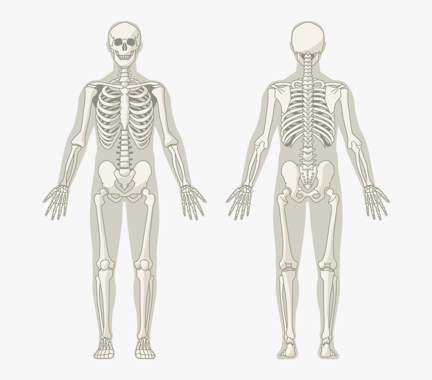 Man, HD Png Download