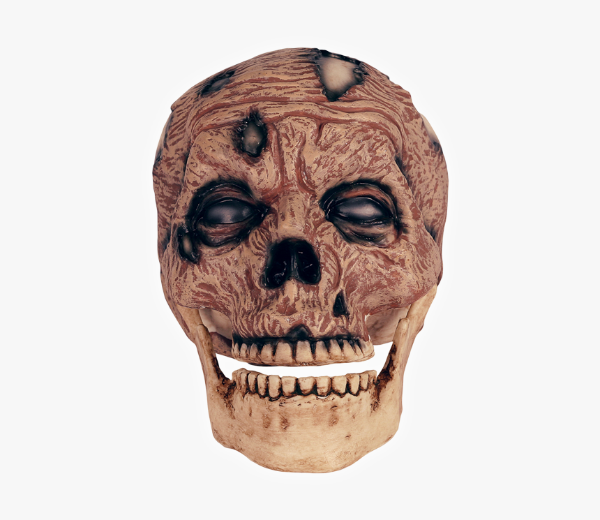 Thumb Image - Zombie Head Transparent, HD Png Download