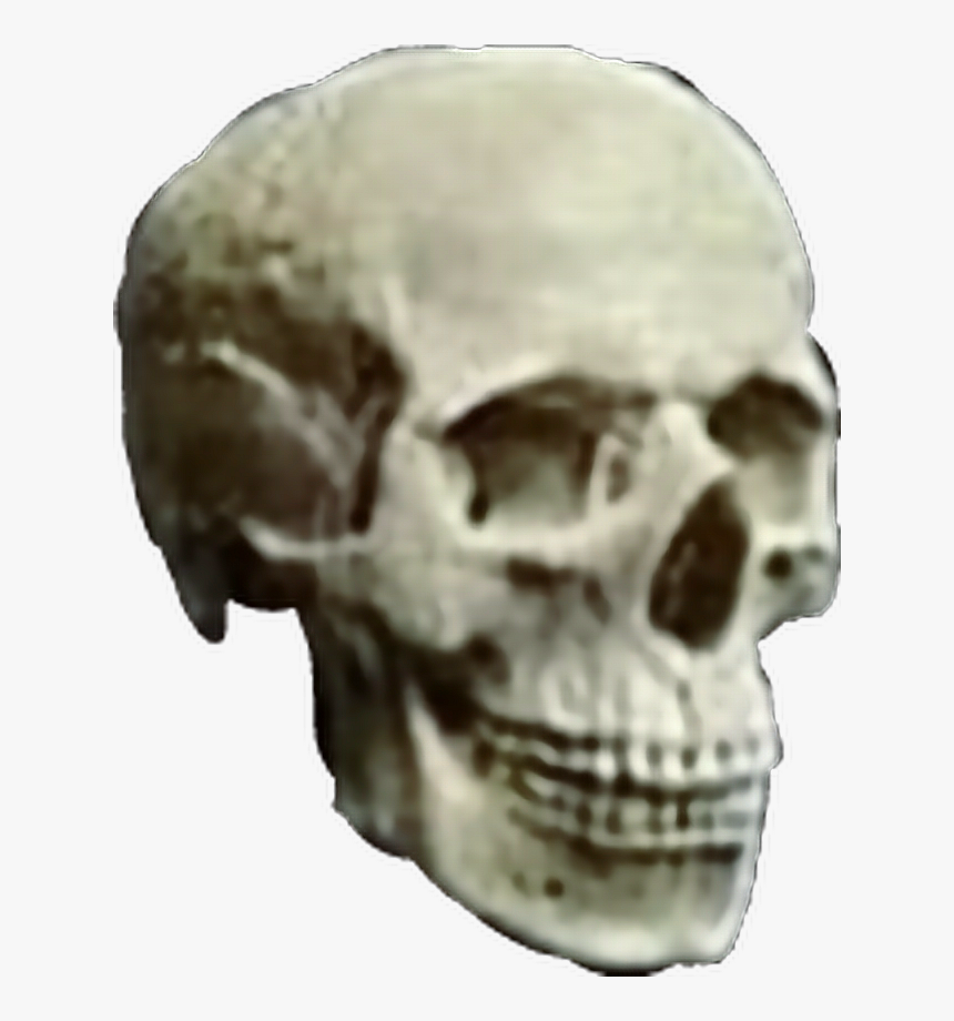 #skull #skulls #skeleton #head #heavymetal #heavy #metal - Skull, HD Png Download