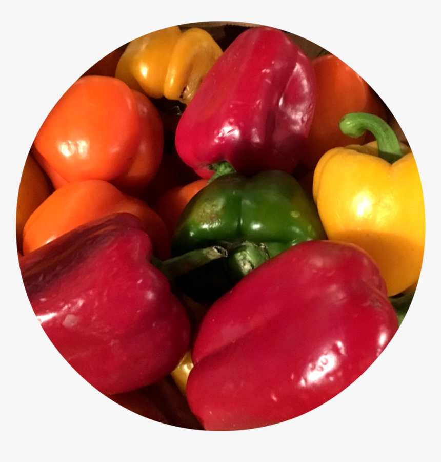 5 - Bell Pepper, HD Png Download
