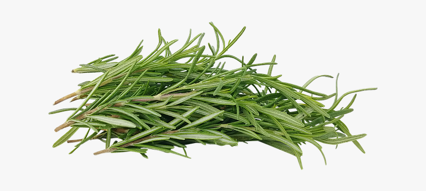 Artificial Turf, HD Png Download