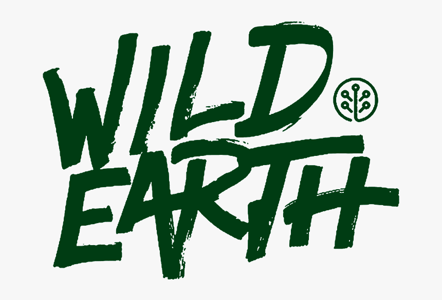 Transparent Background Wild Earth - Calligraphy, HD Png Download