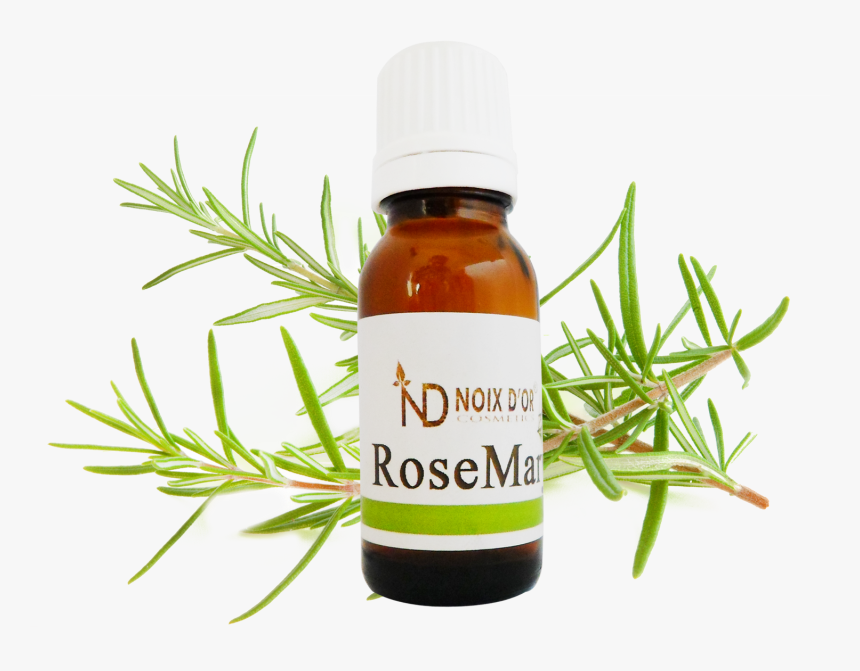 Harrybaba Rosemary Oil 15 Ml , Png Download - Rosemary Free, Transparent Png
