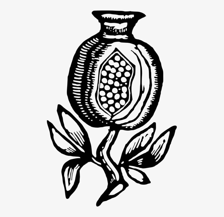 Visual Arts,plant,flower - Illustration, HD Png Download