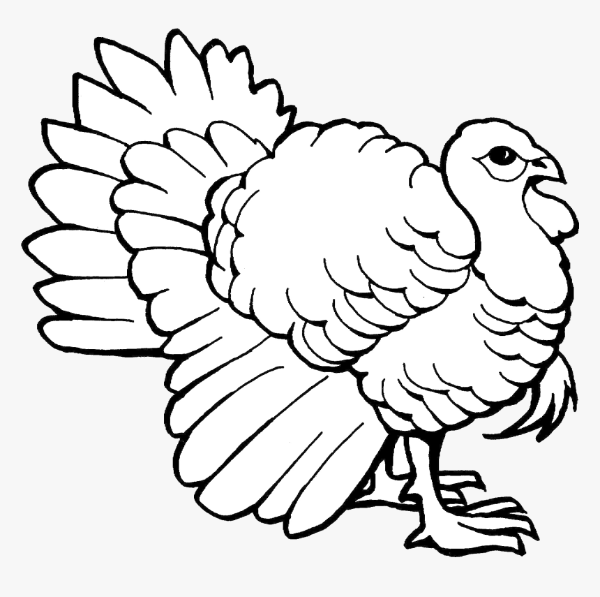 Colouring Page Of Turkey, HD Png Download