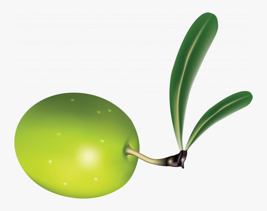 Free Download Of Olives In Png - Transparent Transparent Background Olive Leaf Clipart, Png Download
